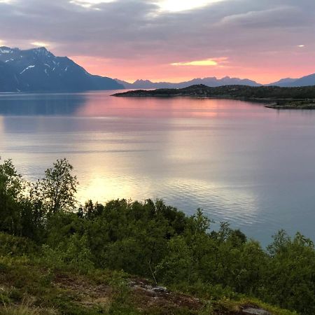 Aaroybukt Guesthouse Aroybukta エクステリア 写真