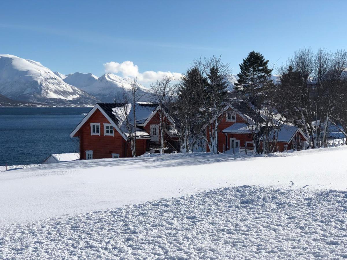 Aaroybukt Guesthouse Aroybukta エクステリア 写真