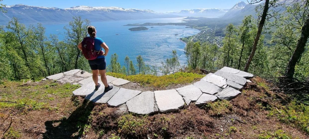 Aaroybukt Guesthouse Aroybukta エクステリア 写真