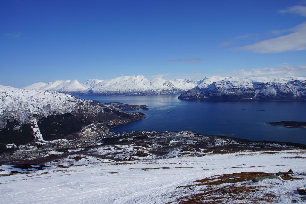 Aaroybukt Guesthouse Aroybukta エクステリア 写真